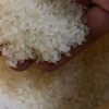 2023年新米苏鲜生推荐禾园常东北大米长粒香米2.5kg/5斤粳米软糯香甜优质热卖晒单图