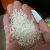 苏鲜生 五常大米稻香米5Kg 长粒香新米东北米粳米10斤 现产现发 [苏宁自有品牌]晒单图