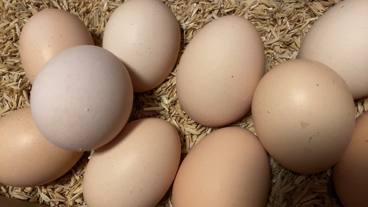[苏鲜生] 新鲜谷物蛋 10 枚装 农家散养新鲜正宗草鸡蛋笨柴鸡蛋孕妇月子蛋整箱禽蛋晒单图