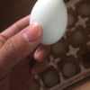 [苏鲜生]顺丰快递 新鲜绿壳鸡蛋 30枚装 农家散养新鲜正宗草鸡蛋笨柴鸡蛋孕妇月子蛋整箱禽蛋晒单图
