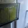 kinbata冰箱除味剂家用保鲜空气净化臭氧除异味冰箱除味盒柠檬N-975晒单图