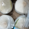 [西沛生鲜]海南椰青 当季热带水果 水果椰子 6个装 现摘现发 营养美味 清甜可口 西沛晒单图