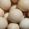 桃小淘 农家生态土鸡蛋20枚装 新鲜鸡蛋草鸡蛋笨鸡蛋晒单图