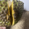 海南菠萝蜜 1个15-20斤 黄肉菠萝蜜 新鲜水果 生鲜水果 国产水果 陈小四水果 海南特产晒单图