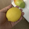 [西沛生鲜]南非进口新鲜黄柠檬 16个装 单果130-150g香味浓郁 皮薄多汁 新鲜水果晒单图