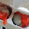 海鸭蛋6枚中蛋简装 单枚60-70克 广西北部湾特产 红树林海边放养 烤鸭蛋 即食熟咸鸭蛋晒单图