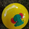 费雪(Fisher Price)儿童玩具球 宝宝小皮球 拍拍球(绿色 送打气筒)F0516H2晒单图