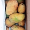 [西沛生鲜]海南新鲜小台芒果 净重3斤装 大果 单果130g以上 新鲜水果 香甜可口晒单图