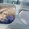 小鸭4.5公斤迷你双桶洗衣机家用小型双缸半全自动婴儿童洗脱两用晒单图