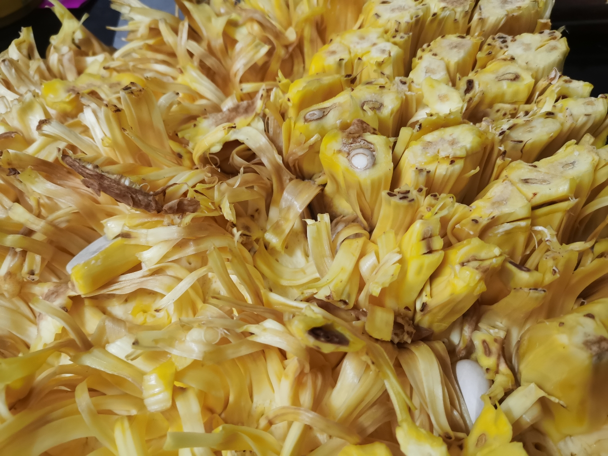 [西沛生鲜]海南黄肉菠萝蜜 新鲜水果 香甜可口 1个 净重25-30斤装 西沛水果晒单图