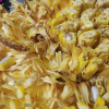 [西沛生鲜]海南黄肉菠萝蜜 新鲜水果 香甜可口 1个 净重25-30斤装 西沛水果晒单图