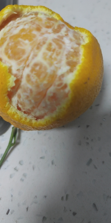 [西沛生鲜]四川不知火柑橘 净重3斤 中果 果径65-75mm 箱装 丑橘 橘子 新鲜应季水果 西沛晒单图