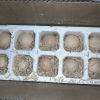 [苏鲜生]富硒鸡蛋喷码装 30枚 散养土鸡蛋柴鸡蛋笨鸡蛋草鸡蛋富硒蛋晒单图