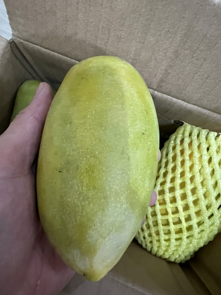[苏鲜生] 新鲜凯特芒果 净重3斤 特大果 单果600g左右 当季整箱新鲜现摘热带时令水果甜心芒应季水果晒单图