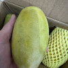 [苏鲜生] 新鲜凯特芒果 净重3斤 特大果 单果600g左右 当季整箱新鲜现摘热带时令水果甜心芒应季水果晒单图