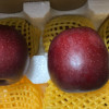 [顺丰快递]熊猫鸟云南黑卡黑钻苹果 中果净重4.5斤(75-80mm)水果黑钻红蛇果新鲜当季脆甜冰糖心苹果晒单图