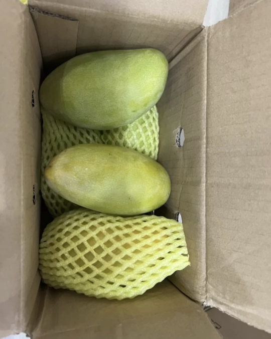 [苏鲜生] 新鲜凯特芒果 净重3斤 特大果 单果600g左右 当季整箱新鲜现摘热带时令水果甜心芒应季水果晒单图