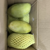 [苏鲜生] 新鲜凯特芒果 净重3斤 特大果 单果600g左右 当季整箱新鲜现摘热带时令水果甜心芒应季水果晒单图