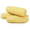 黄糯玉米 8支装 220g/支 新鲜黄玉米非转基因玉米真空装晒单图