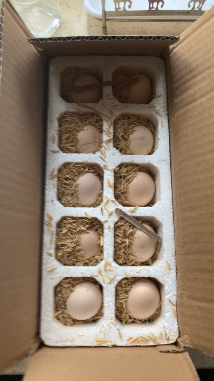 [西沛生鲜]富硒鸡蛋喷码装 10枚 农家谷物虫草孕妇宝宝笨鸡蛋新鲜土鸡蛋散养晒单图