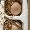 [西沛生鲜]富硒鸡蛋喷码装 10枚 农家谷物虫草孕妇宝宝笨鸡蛋新鲜土鸡蛋散养晒单图