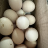 [五个农民] 30枚农家散养土鸡蛋 净重1200g以上 现捡现发 农家自养 营养美味晒单图