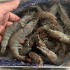 王牌盐冻虾 带盒4斤 30/40规格 只只分离含少量有保护冰 净重3.3斤晒单图