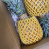 [西沛生鲜]海南金钻凤梨 带箱5斤 大果 2个装 当季热带水果 香甜可口 产地直发 西沛晒单图