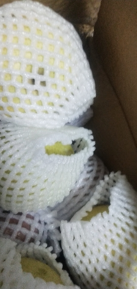 [西沛生鲜]精品皇冠梨 新鲜水果 松脆多汁 净重4.7-5.2斤 单果200g以上 西沛生鲜晒单图