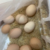 [西沛生鲜]新鲜虫草乌鸡蛋 20枚 散养土鸡蛋 柴鸡蛋笨鸡蛋草鸡蛋整箱晒单图