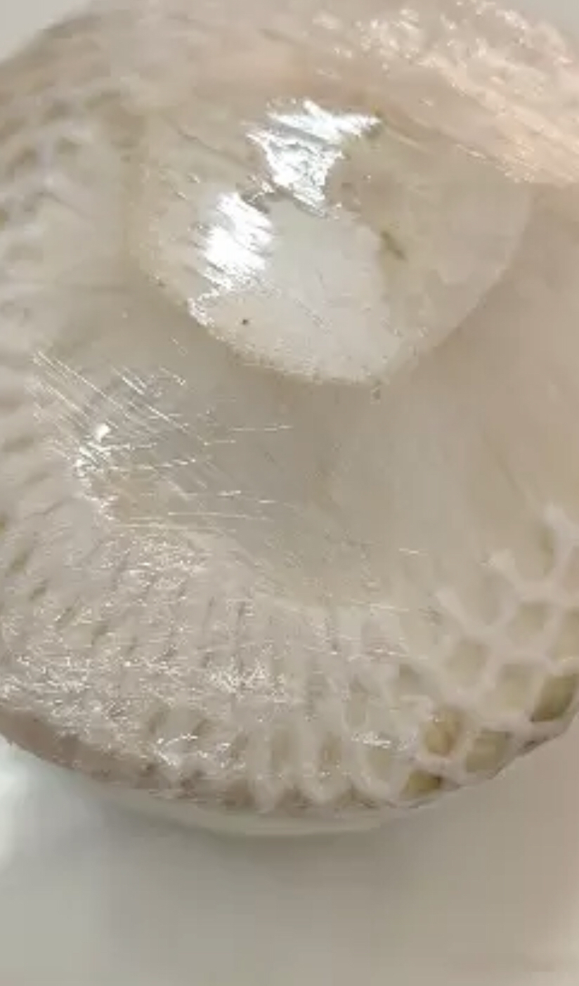 [西沛生鲜]海南椰青 当季热带水果 水果椰子 6个装(2-3斤/个) 现摘现发 营养美味 清甜可口 西沛晒单图