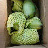 [苏鲜生] 新鲜凯特芒果 净重5斤 特大果 单果600g左右 当季整箱新鲜现摘热带时令水果甜心芒应季水果晒单图