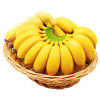 鲜木 广西小米蕉 自然熟芭蕉皇帝蕉苹果蕉 牛奶小米香蕉 新鲜当季水果精选3斤装晒单图