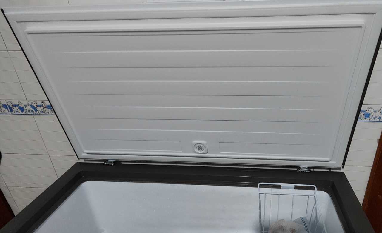 容声(Ronshen)300升家用商用卧式大冷冻柜 冷藏冷冻转换 大容量 一级能效(珍珠白)BD/BC-300ZMSM晒单图