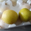 [西沛生鲜]精品皇冠梨 新鲜水果 松脆多汁 净重8.7-9.5斤 单果200g以上 西沛生鲜晒单图