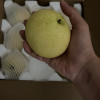 [西沛生鲜]精品绿皇冠梨 新鲜水果 松脆多汁 净重4.7-5.2斤装 西沛生鲜 特级大果晒单图