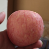 洛川苹果 新鲜陕西洛川红富士苹果礼盒 12枚75mm 延安苹果水果礼盒晒单图