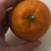 [西沛生鲜]四川不知火柑橘 净重3斤 中果 果径65-75mm 箱装 丑橘 橘子 新鲜应季水果 西沛晒单图