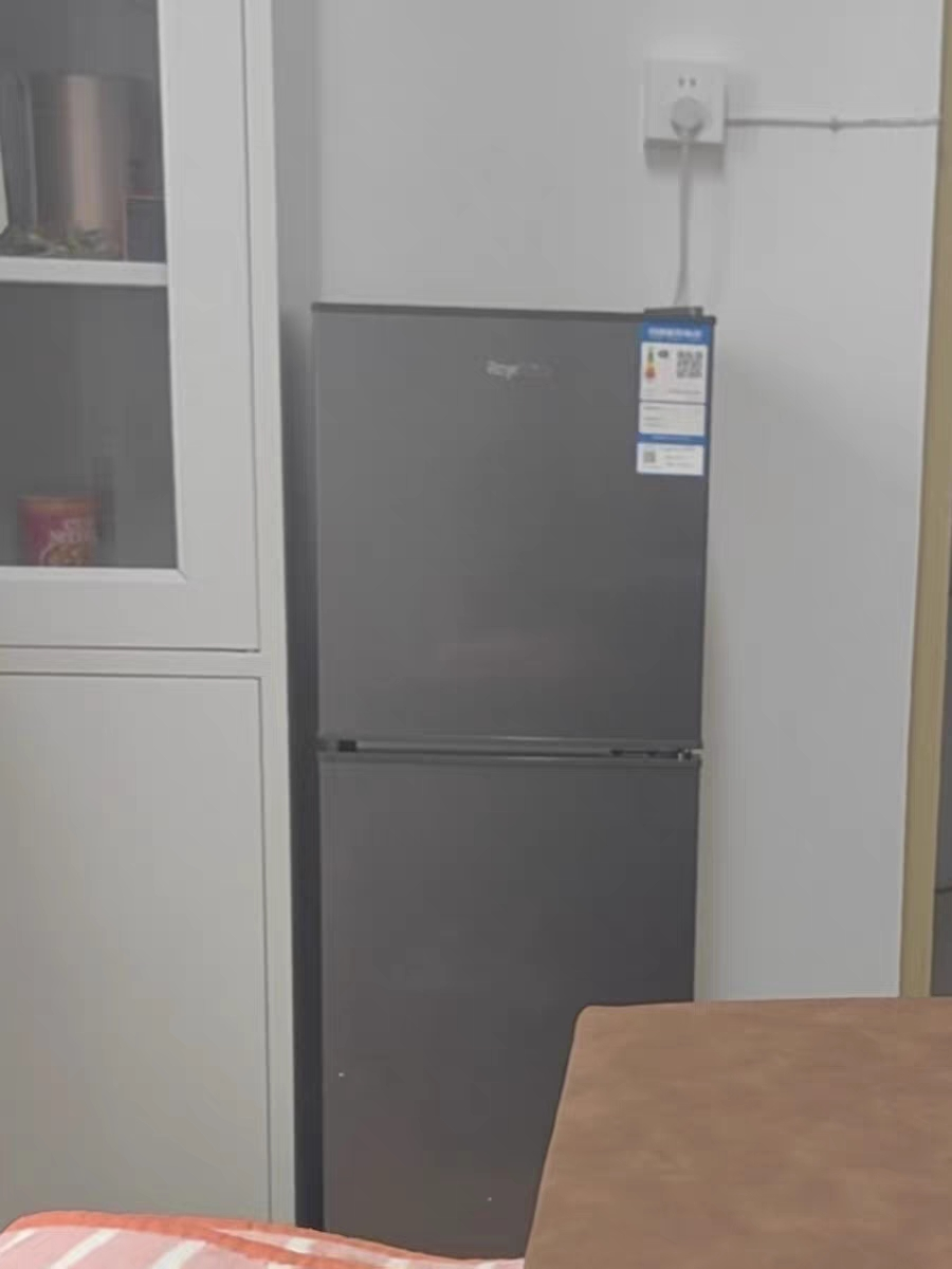 荣事达(Royalstar)98升迷你冰箱小型双门电冰箱家用宿舍冷冻冷藏节能一级能效BCD-98A168灰色晒单图
