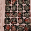[西沛生鲜]正宗咸鸭蛋 20枚 60-70g/个 红泥腌制烘焙流油蛋黄酥月饼粽子红心生咸蛋晒单图