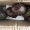 [西沛生鲜]秘鲁牛油果 宝宝辅食 进口新鲜水果 中果 4个装 单果130g-160g 西沛晒单图
