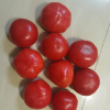 沙瓤普罗旺斯西红柿 3斤大果 肉质细腻 酸甜可口 新鲜蔬菜当季正宗番茄 外包装随机发货晒单图