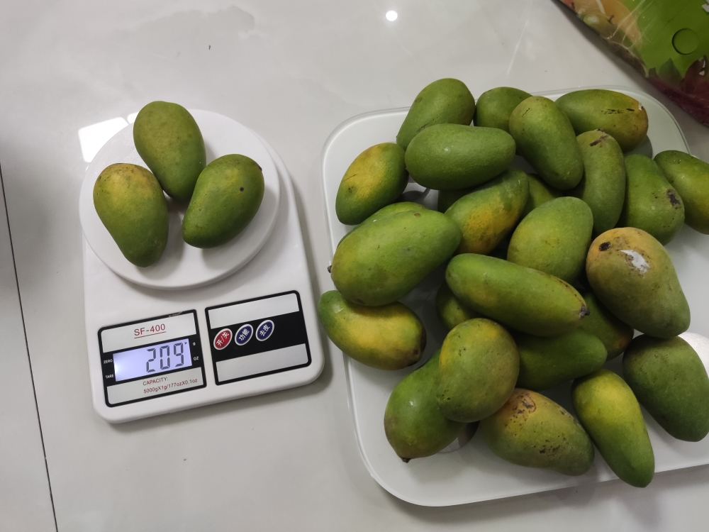 [西沛生鲜]新鲜小台芒果 净重5斤装 大果 单果130g以上 新鲜水果 香甜可口晒单图