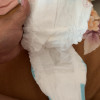 雀氏(Chiaus)草莓贝贝纸尿裤-L64 婴儿尿不湿轻薄透气尿裤(9kg-14kg)晒单图