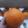 [苏鲜生]四川不知火柑橘 净重3斤 大果 果径75-80mm 箱装 丑橘 橘子 新鲜应季水果晒单图