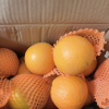 鲜贝达 伦晚脐橙5斤装大果[净重4.5斤][单果70-80mm]新鲜水果橙子晒单图