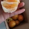 正宗广西武鸣沃柑橘子5斤新鲜水果当季桔子晒单图