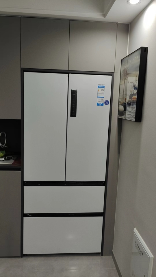 海尔(Haier)500升法式多门冰箱 零距离自由超薄嵌入 EPP超净系统 BCD-500WGHFD4DW9U1晒单图