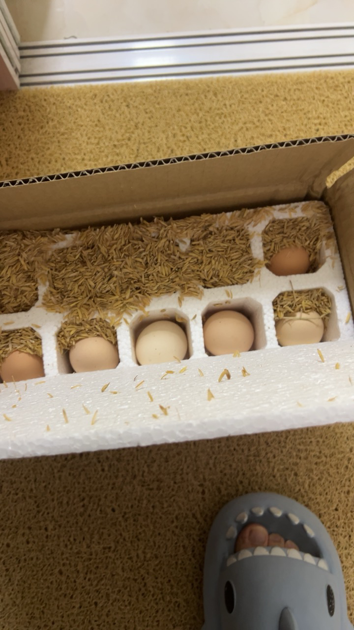 [苏鲜生]顺丰快递 新鲜谷物蛋 20枚装 农家散养新鲜正宗草鸡蛋笨柴鸡蛋孕妇月子蛋整箱禽蛋晒单图