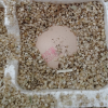 苏宁超市自营 晋龙 新鲜鸡蛋10枚红心蛋非农家散养鸡蛋晒单图
